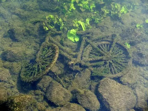Vélo enfant 20 pouces