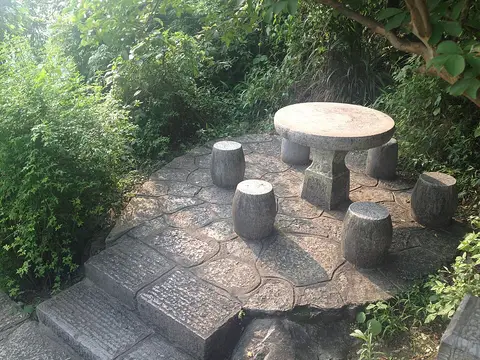 Table à manger bois massif 6 places