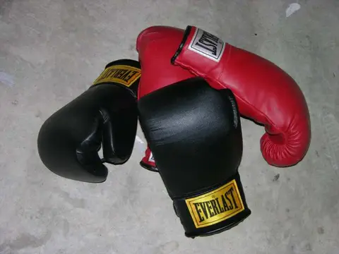 Gants de boxe 10 oz Everlast