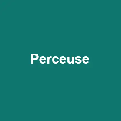 Perceuse Bosch 750W