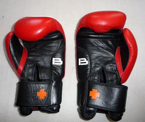 Gants de boxe 10 oz Everlast