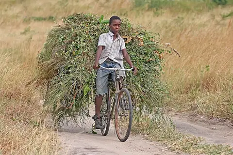 Vélo enfant 20 pouces