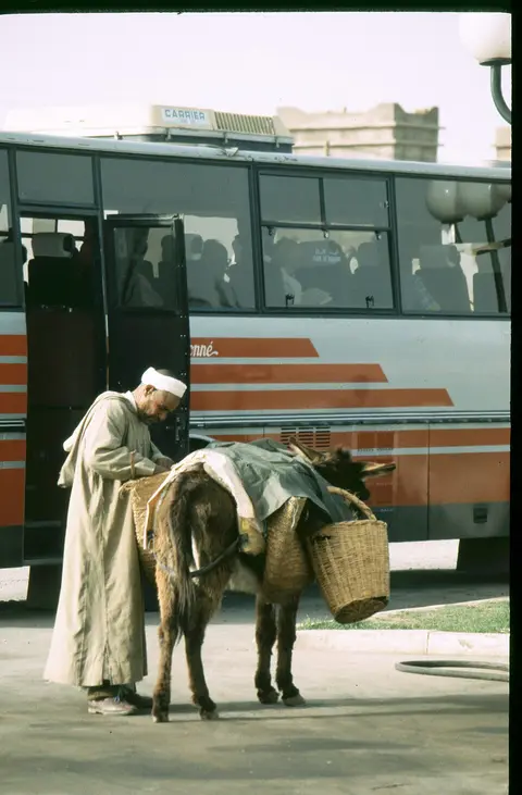 Djellaba femme brodée