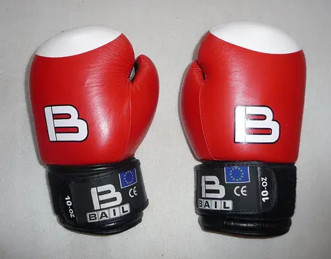 Gants de boxe 10 oz Everlast